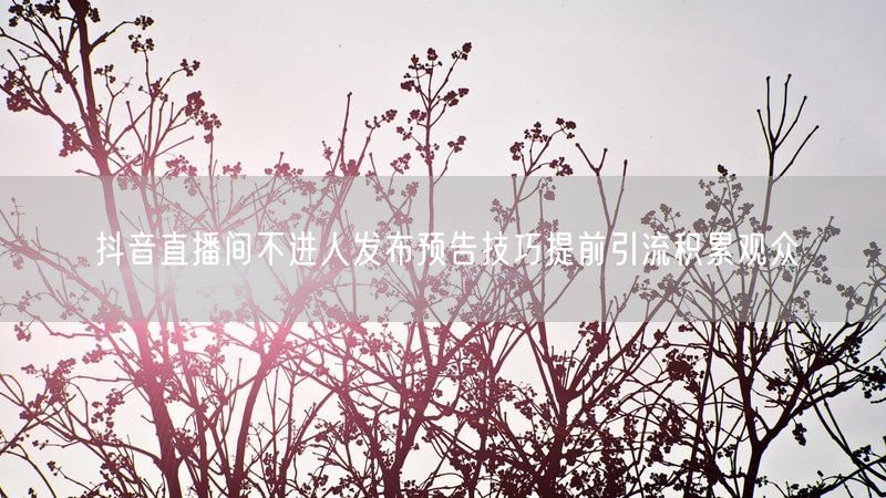 抖音直播间不进人发布预告技巧提前引流积累观众