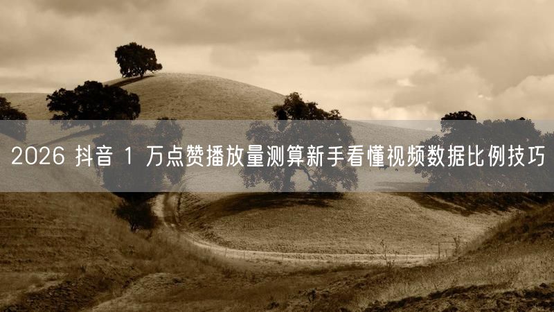 2026 抖音 1 万点赞播放量测算新手看懂视频数据比例技巧