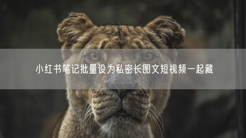 小红书笔记批量设为私密长图文短视频一起藏