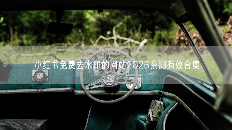 小红书免费去水印的网站2026亲测有效合集