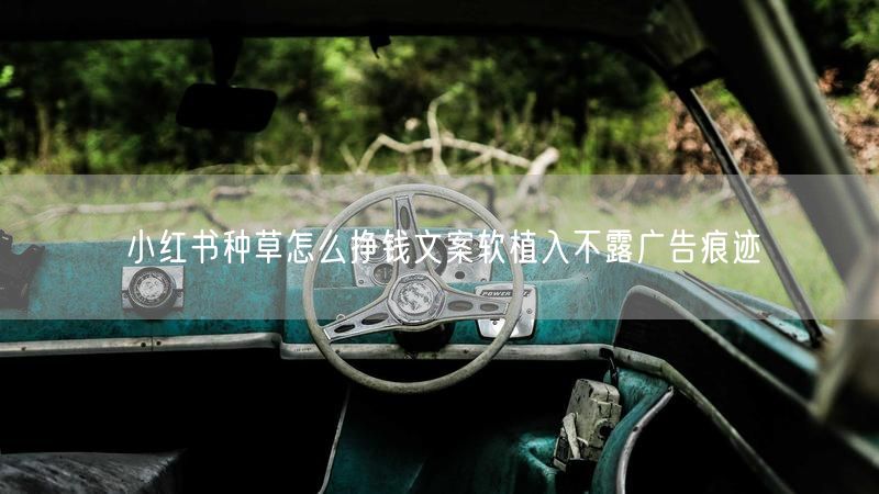 小红书种草怎么挣钱文案软植入不露广告痕迹