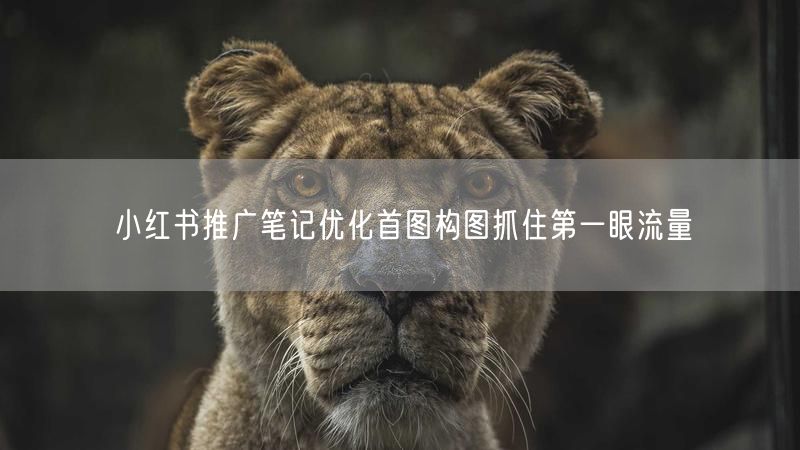 小红书推广笔记优化首图构图抓住第一眼流量