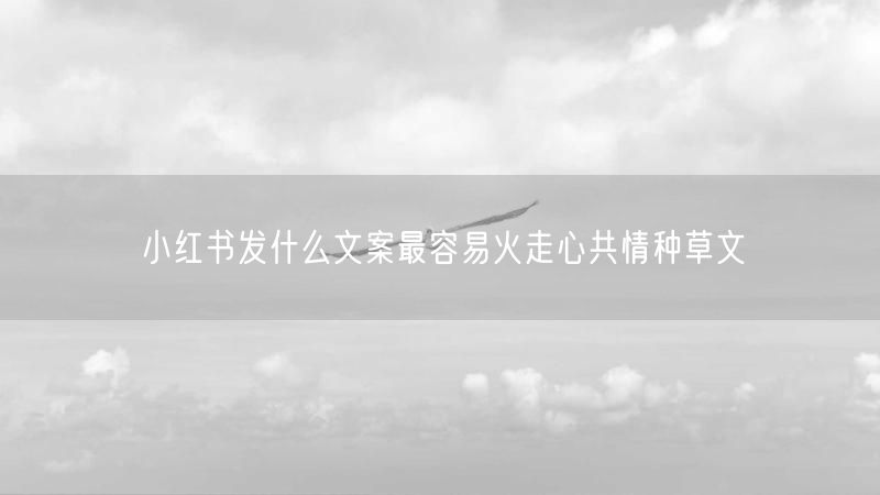 小红书发什么文案最容易火走心共情种草文