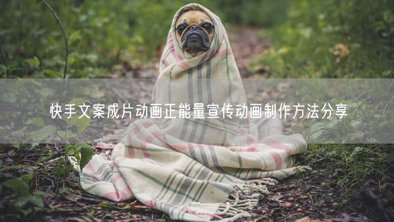 快手文案成片动画正能量宣传动画制作方法分享
