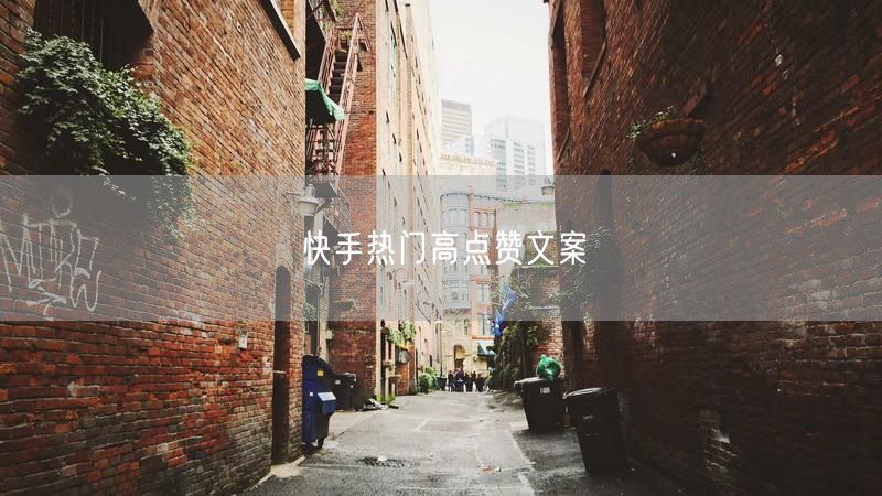 快手热门高点赞文案