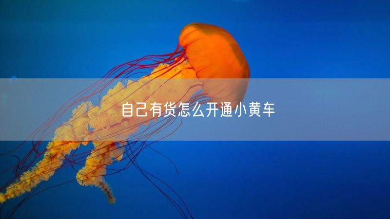 自己有货怎么开通小黄车