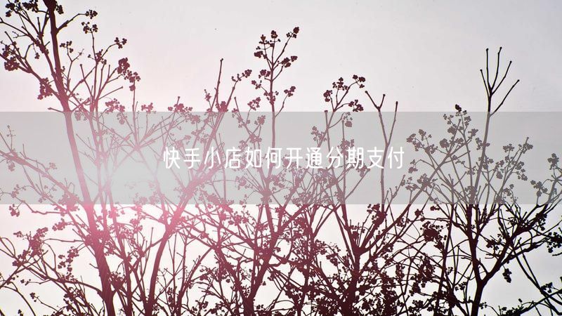 快手小店如何开通分期支付