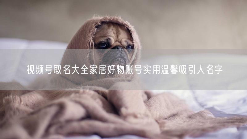 视频号取名大全家居好物账号实用温馨吸引人名字