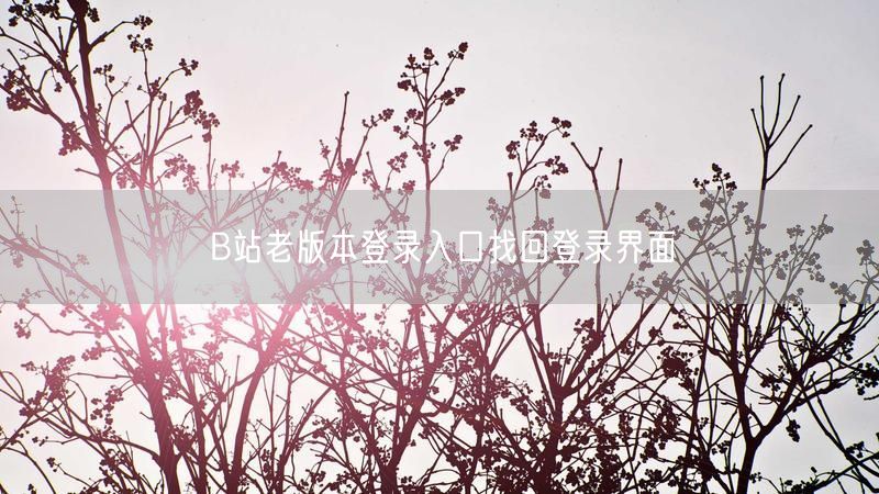B站老版本登录入口找回登录界面
