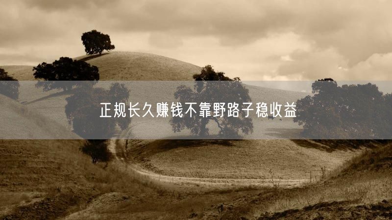 正规长久赚钱不靠野路子稳收益