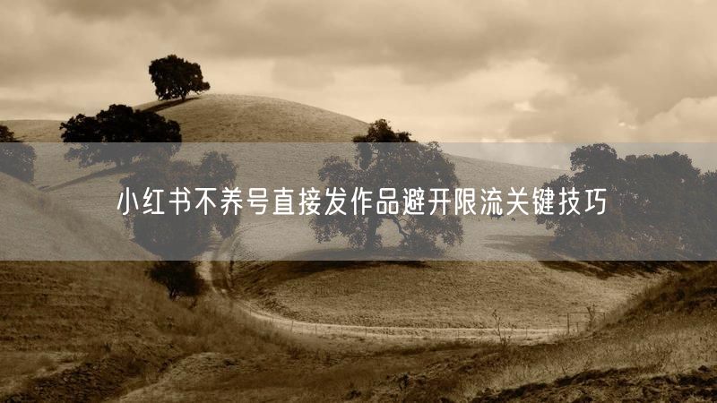 小红书不养号直接发作品避开限流关键技巧