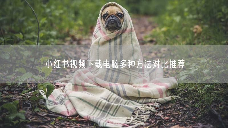 小红书视频下载电脑多种方法对比推荐