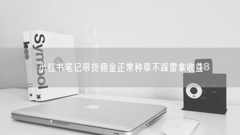 小红书笔记带货佣金正常种草不踩雷拿收益