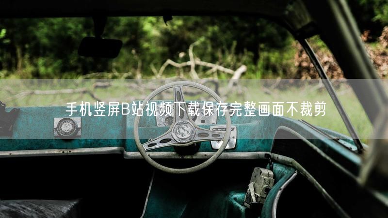 手机竖屏B站视频下载保存完整画面不裁剪