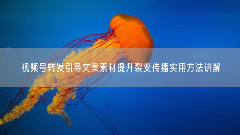 视频号转发引导文案素材提升裂变传播实用方法讲解