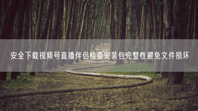 安全下载视频号直播伴侣检查安装包完整性避免文件损坏