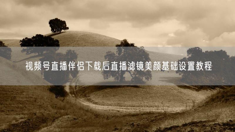 视频号直播伴侣下载后直播滤镜美颜基础设置教程