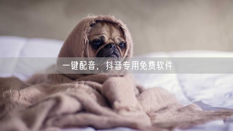 一键配音，抖音专用免费软件