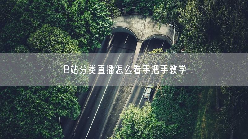 B站分类直播怎么看手把手教学