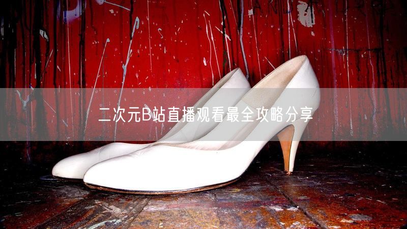 二次元B站直播观看最全攻略分享