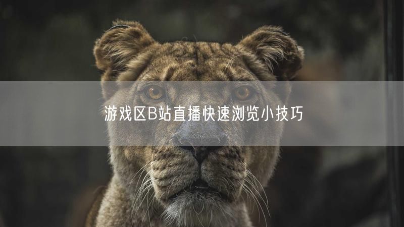 游戏区B站直播快速浏览小技巧