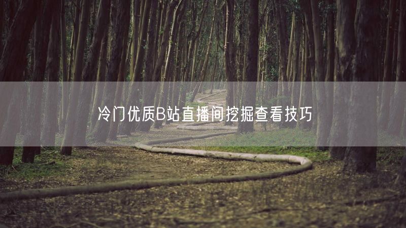 冷门优质B站直播间挖掘查看技巧