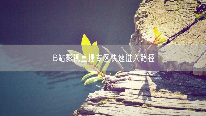 B站影视直播专区快速进入路径