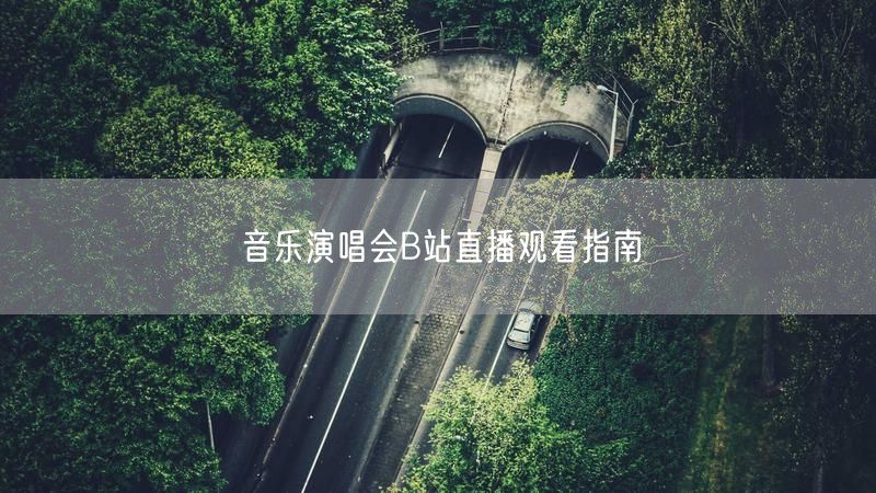 音乐演唱会B站直播观看指南