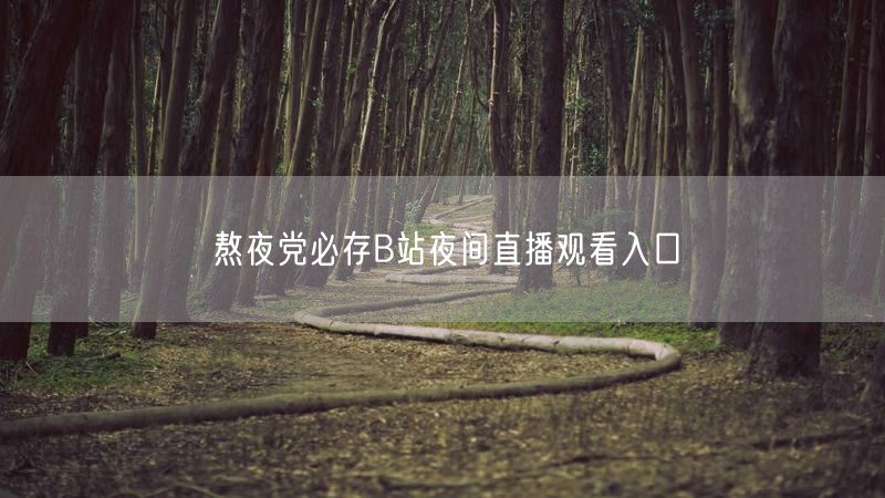 熬夜党必存B站夜间直播观看入口