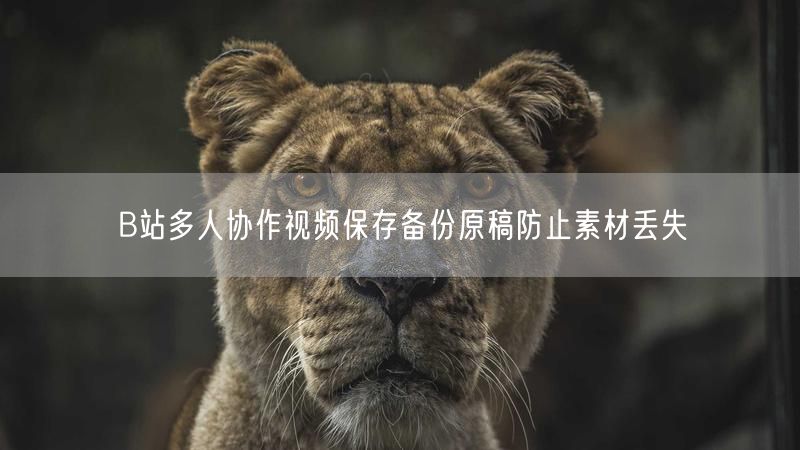 B站多人协作视频保存备份原稿防止素材丢失