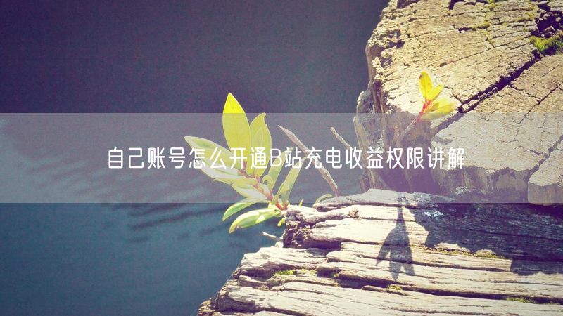 自己账号怎么开通B站充电收益权限讲解