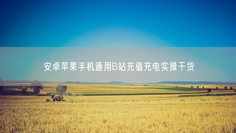 安卓苹果手机通用B站充值充电实操干货
