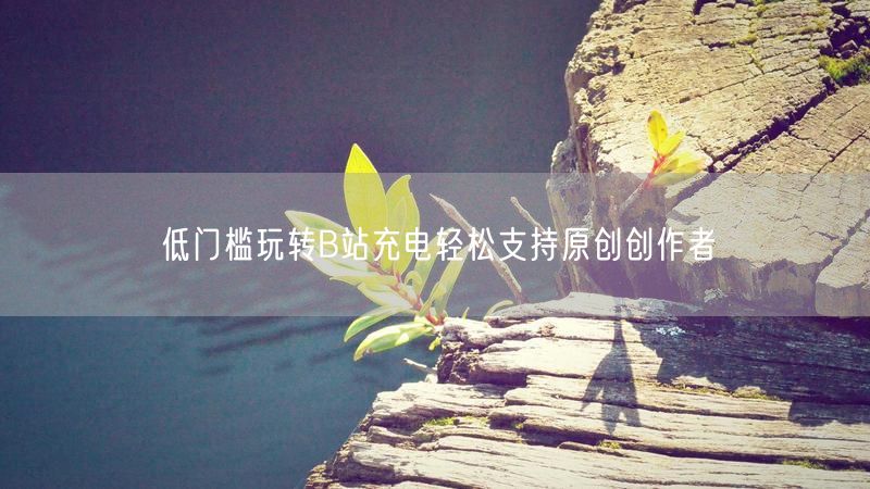 低门槛玩转B站充电轻松支持原创创作者