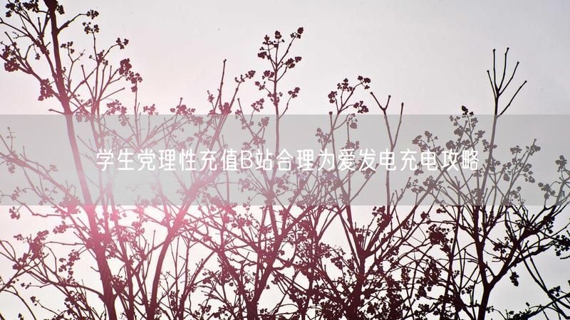 学生党理性充值B站合理为爱发电充电攻略