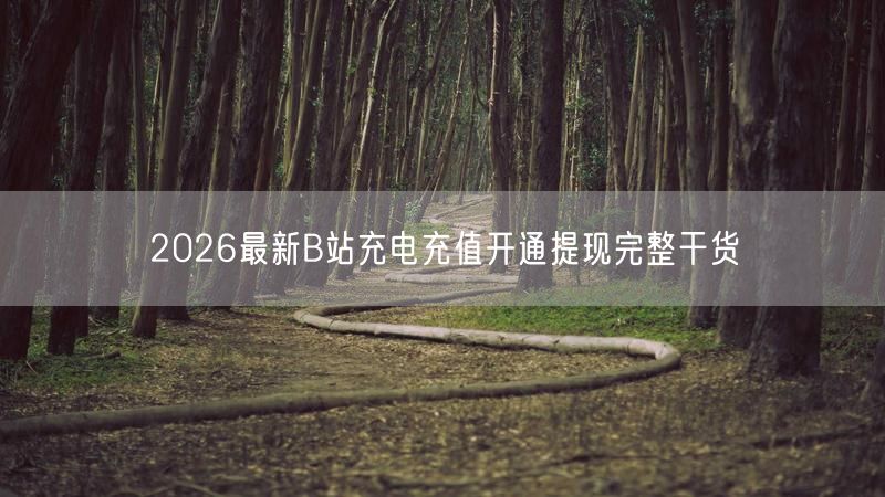 2026最新B站充电充值开通提现完整干货