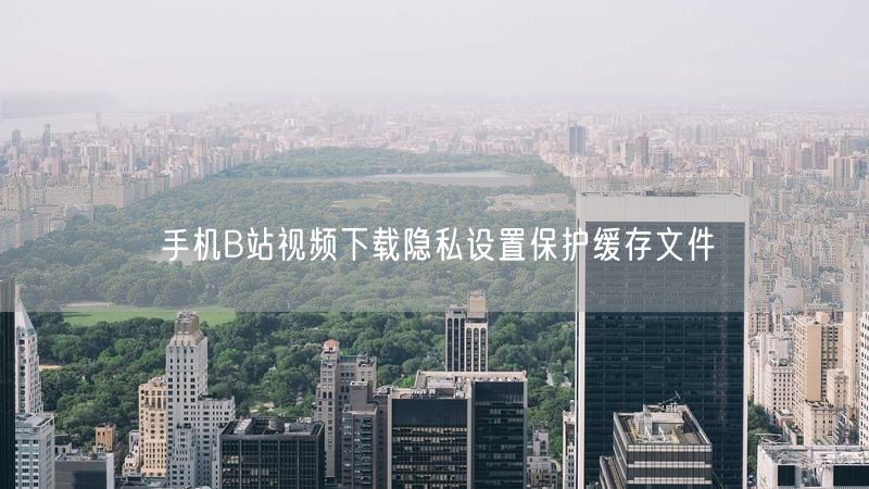 手机B站视频下载隐私设置保护缓存文件