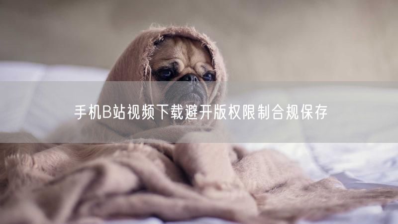 手机B站视频下载避开版权限制合规保存
